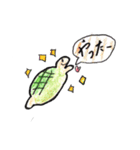 のほほーんかめさん（個別スタンプ：11）