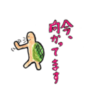 のほほーんかめさん（個別スタンプ：13）
