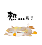 キム ちゃん と シャン ちゃん（個別スタンプ：15）