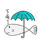 fish daily（個別スタンプ：8）