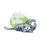 Richard Parker and Nong Pie TH 01（個別スタンプ：16）