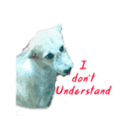 Huutang is my wife's dog.（個別スタンプ：15）