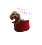 鈴木家の人々（個別スタンプ：1）
