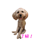 鈴木家の人々（個別スタンプ：4）
