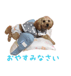 鈴木家の人々（個別スタンプ：5）