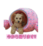 鈴木家の人々（個別スタンプ：23）