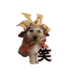 鈴木家の人々（個別スタンプ：24）
