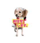鈴木家の人々（個別スタンプ：28）