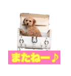 鈴木家の人々（個別スタンプ：30）