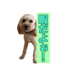 鈴木家の人々（個別スタンプ：36）