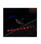 癒しの可愛い猫ちゃんスタンプ（個別スタンプ：7）