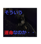癒しの可愛い猫ちゃんスタンプ（個別スタンプ：24）