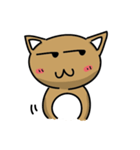 a BrownCat（個別スタンプ：20）