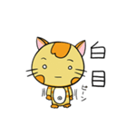 癒やし系 背筋ぴーんな猫 ぴんにゃん（個別スタンプ：31）