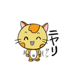 癒やし系 背筋ぴーんな猫 ぴんにゃん（個別スタンプ：35）