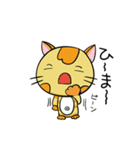 癒やし系 背筋ぴーんな猫 ぴんにゃん（個別スタンプ：38）