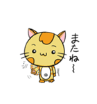 癒やし系 背筋ぴーんな猫 ぴんにゃん（個別スタンプ：40）
