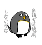 足が黒いペンギンのスタンプ（個別スタンプ：1）