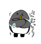 足が黒いペンギンのスタンプ（個別スタンプ：15）