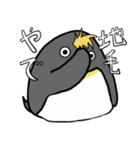 足が黒いペンギンのスタンプ（個別スタンプ：19）
