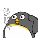 足が黒いペンギンのスタンプ（個別スタンプ：20）