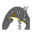 足が黒いペンギンのスタンプ（個別スタンプ：22）