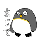 足が黒いペンギンのスタンプ（個別スタンプ：23）