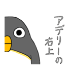 足が黒いペンギンのスタンプ（個別スタンプ：33）