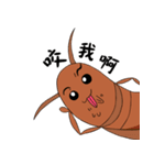 wulitou cockroach family（個別スタンプ：4）