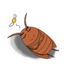 wulitou cockroach family（個別スタンプ：8）