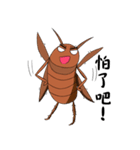 wulitou cockroach family（個別スタンプ：12）