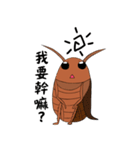 wulitou cockroach family（個別スタンプ：13）