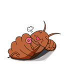 wulitou cockroach family（個別スタンプ：17）