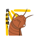 wulitou cockroach family（個別スタンプ：31）
