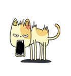 Weird Yellow Cat（個別スタンプ：14）