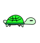 マッスルカメ（個別スタンプ：1）