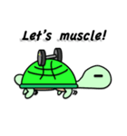 マッスルカメ（個別スタンプ：2）
