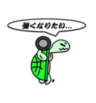マッスルカメ（個別スタンプ：4）
