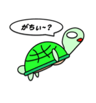 マッスルカメ（個別スタンプ：7）