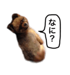 ポメラニアン・クッキーの喜怒哀楽（個別スタンプ：17）