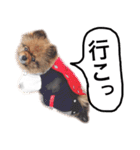 ポメラニアン・クッキーの喜怒哀楽（個別スタンプ：26）