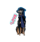 Pipo ja（個別スタンプ：3）
