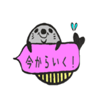 アザラシくん。（個別スタンプ：2）