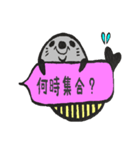 アザラシくん。（個別スタンプ：8）