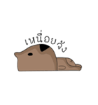 Dog Numb（個別スタンプ：15）