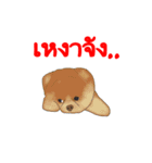 Animal789 V2（個別スタンプ：1）