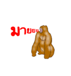 Animal789 V2（個別スタンプ：3）