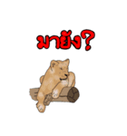 Animal789 V2（個別スタンプ：6）