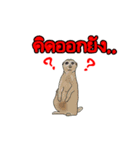 Animal789 V2（個別スタンプ：10）
