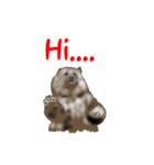 Animal789 V2（個別スタンプ：12）